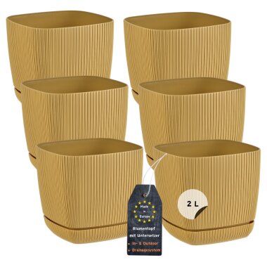 6er-Set ENGELLAND Blumentöpfe 15×15 cm Ocker-Gelb – quadratisch, wetterfest, UV-beständig mit Drainage