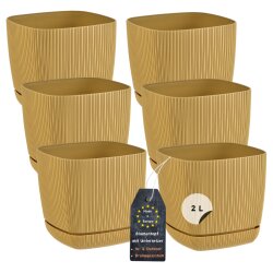6er-Set ENGELLAND Blumentöpfe 15×15 cm...