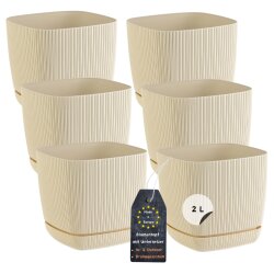 6er-Set ENGELLAND Blumentöpfe 15×15 cm Beige...