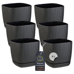 ENGELLAND 6er Set Blumentöpfe 15×15 cm 2 L...