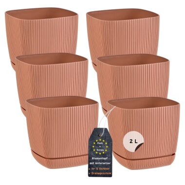 6er-Set ENGELLAND Blumentöpfe 15×15 cm Terrakotta – quadratisch, wetterfest, UV-beständig mit Drainage