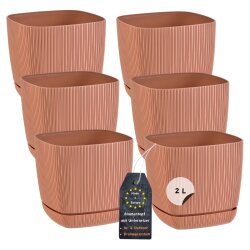 6er-Set ENGELLAND Blumentöpfe 15×15 cm...