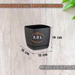 6er-Set ENGELLAND Blumentöpfe 15×15 cm...
