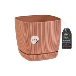 Engelland Blumentopf 18×18 cm Terrakotta –...