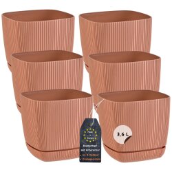 6er-Set ENGELLAND Blumentöpfe 18×18 cm...