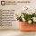 ENGELLAND 3er Set Blumenkästen Grau 50 cm – mit Wasserspeicher, Drainage & Abstandshalter