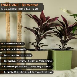 Engelland 3er-Set WPC Pflanzkübel 21x21 cm in drei...