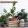 ENGELLAND 2er-Set Blumentopf Ø 34 cm Flieder – wetterfest mit integriertem Drainagesystem