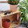 ENGELLAND 2er-Set Blumentopf Ø 34 cm Flieder – wetterfest mit integriertem Drainagesystem