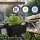 Engelland 3er Set Blumenkasten für Balkon Zaun Braun 49 cm mit Wasserspeicher