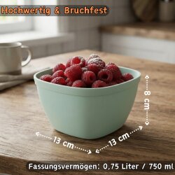 Engelland Kunststoffschüsseln 6er Set, 750 ml, BPA-frei, bunter Farbmix, bruchfest & stapelbar - Müslischalen, Suppenschalen, Snack- & Dipschalen - mikrowellen-, spülmaschinen- & gefriergeeignet